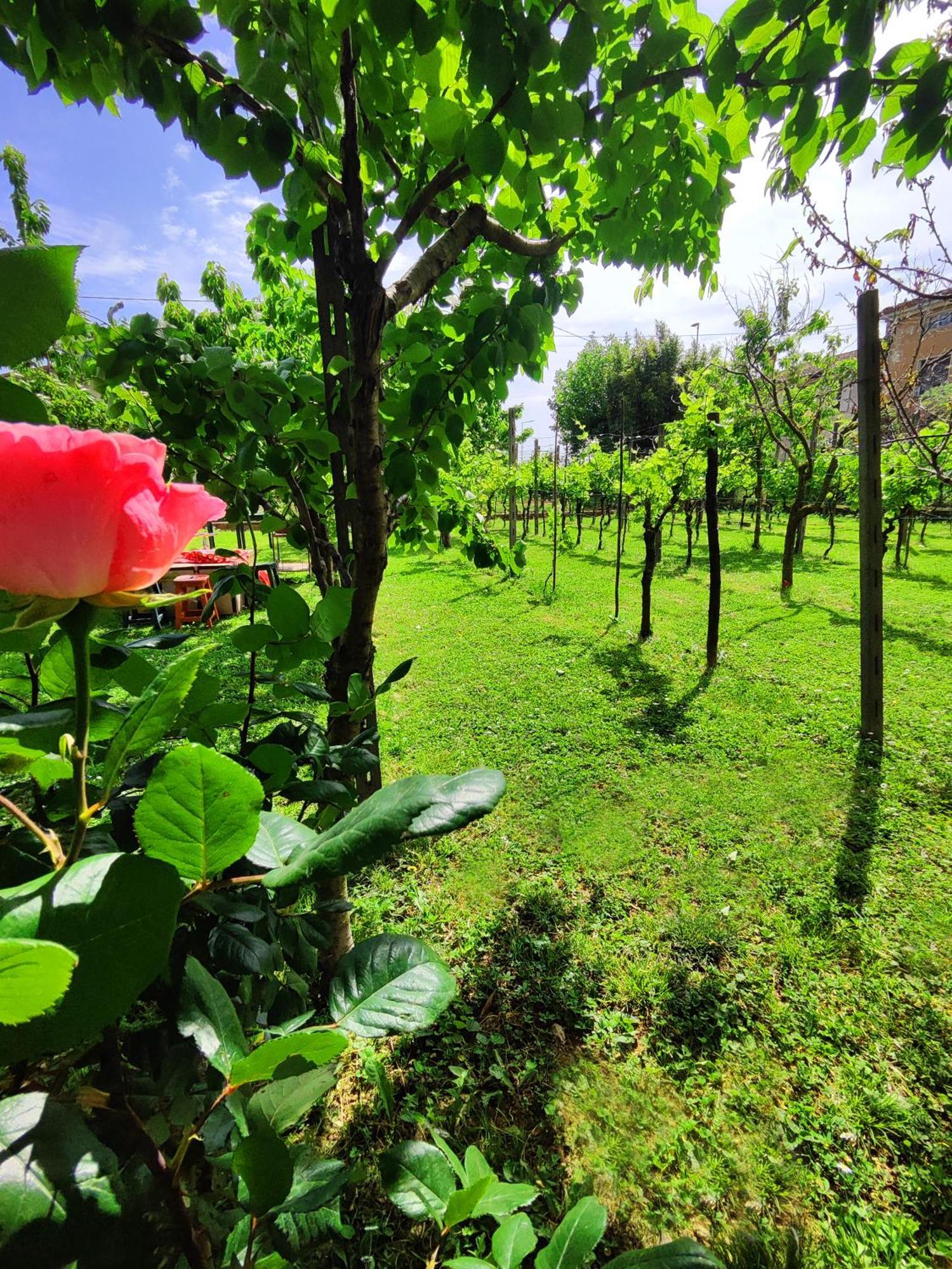 Garda Relais Antica Romelia Bed & Breakfast Монтикири Екстериор снимка
