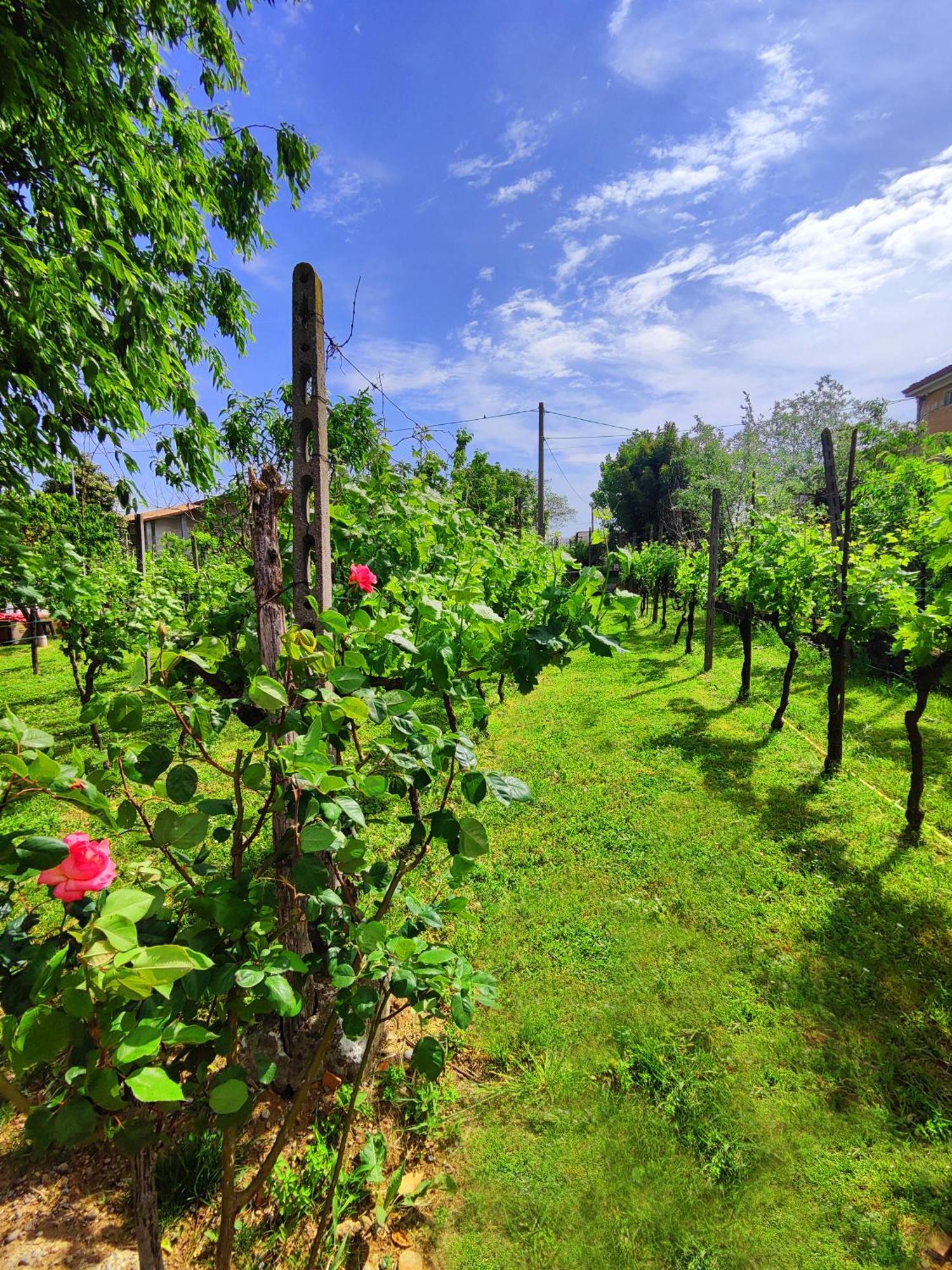 Garda Relais Antica Romelia Bed & Breakfast Монтикири Екстериор снимка