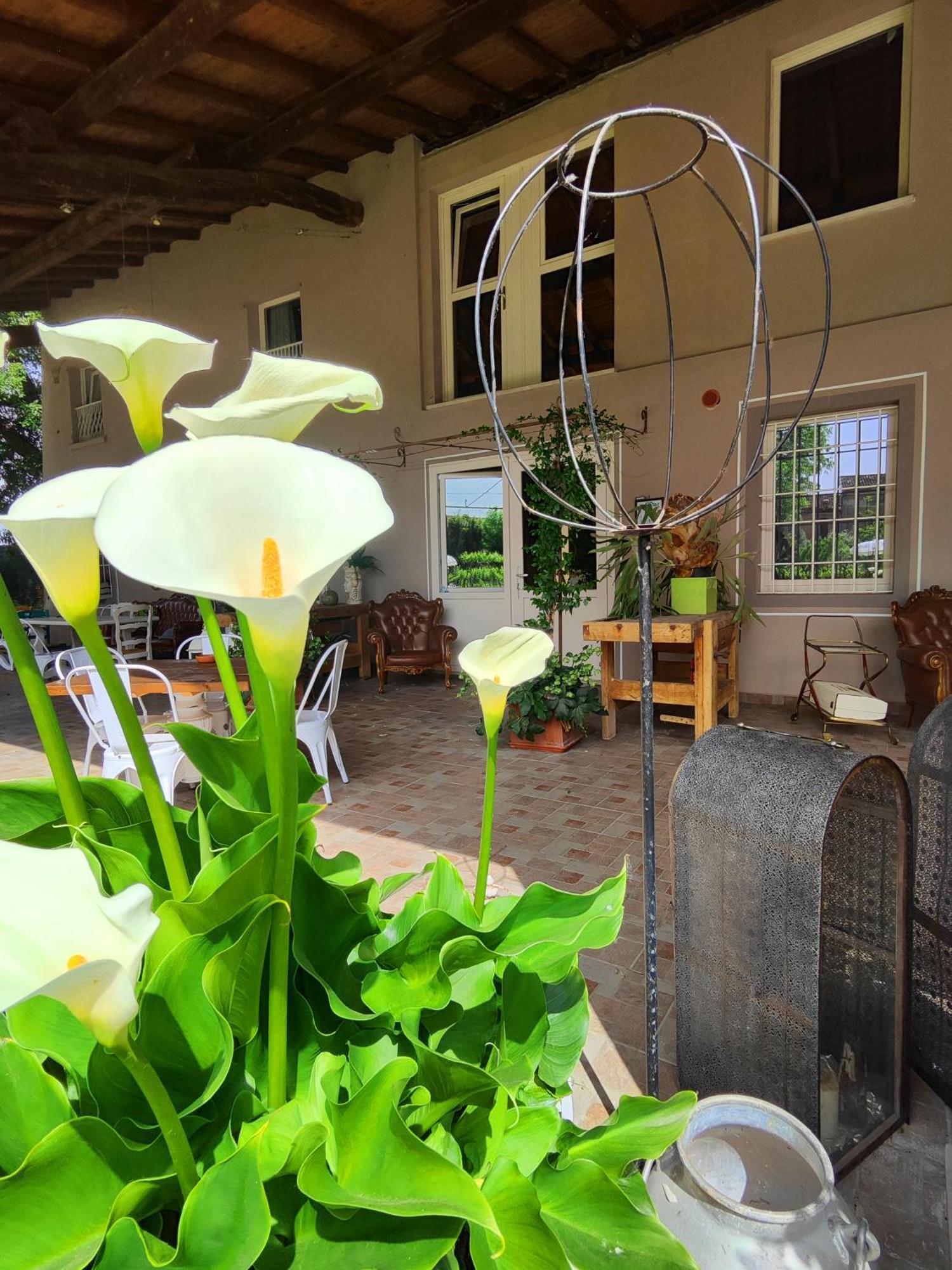 Garda Relais Antica Romelia Bed & Breakfast Монтикири Екстериор снимка