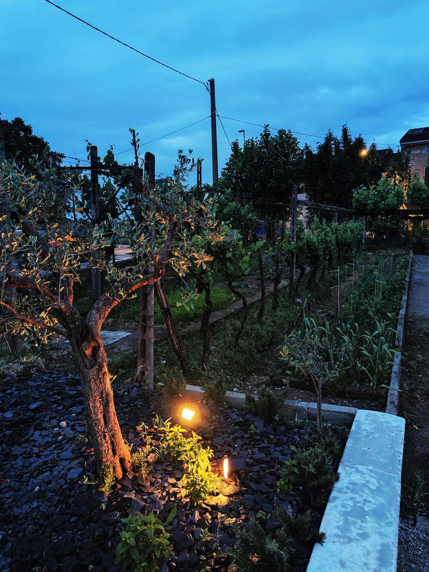 Garda Relais Antica Romelia Bed & Breakfast Монтикири Екстериор снимка